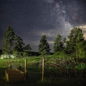 Colorado 3 x Ceremony Weekend October