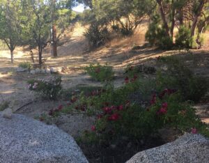 Colorado Weekend October